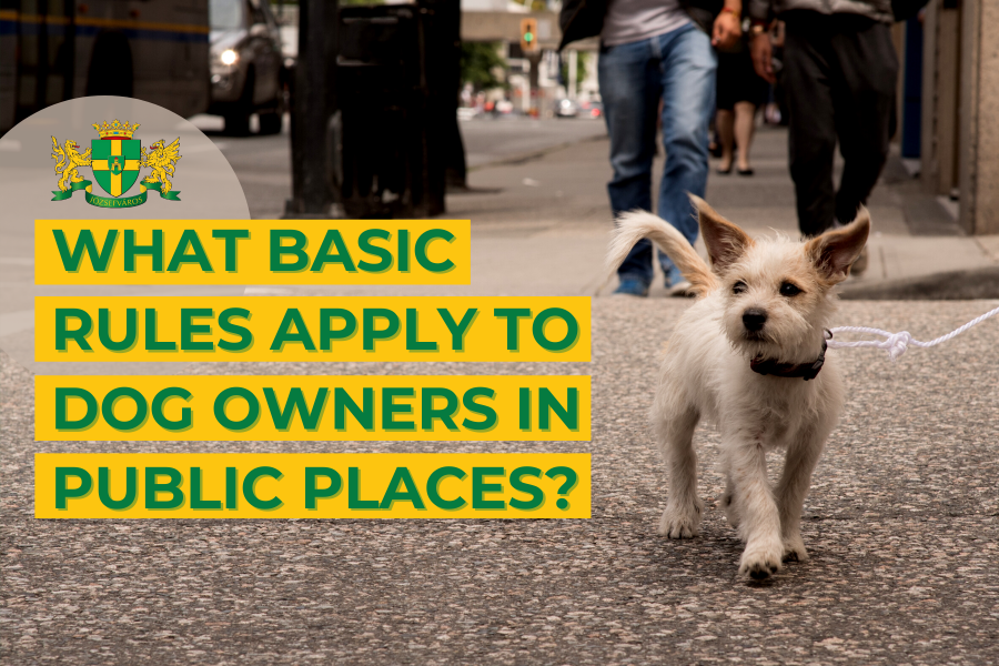 What basic rules apply to dog owners in public places?