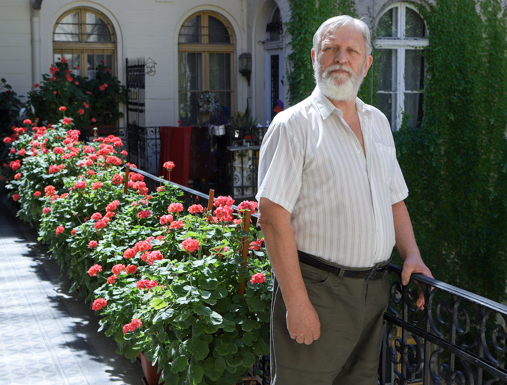 Közösségformáló zöld udvarok