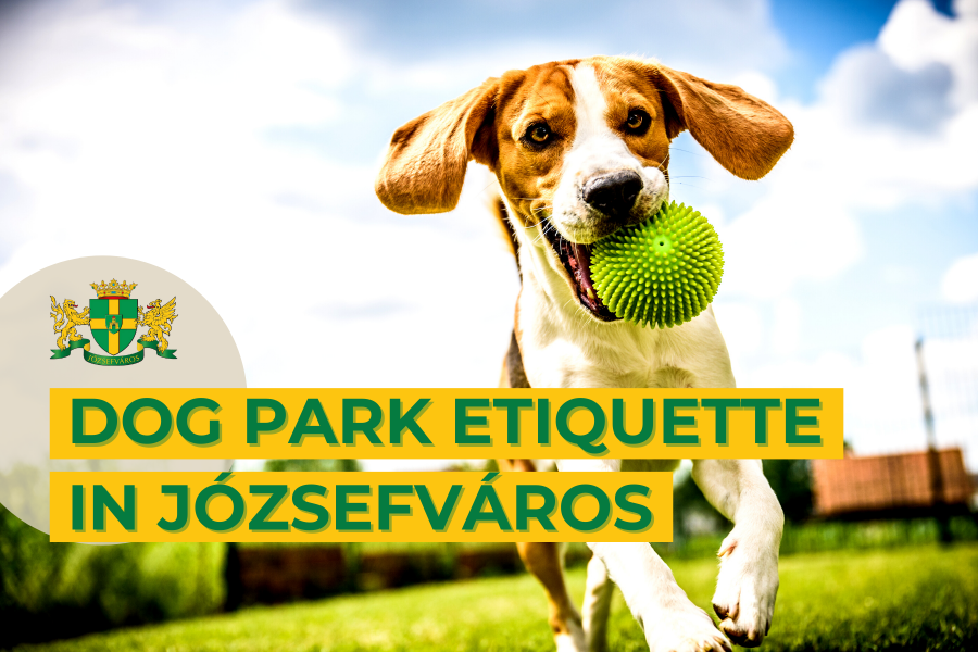 What can dog owners do for Józsefváros?