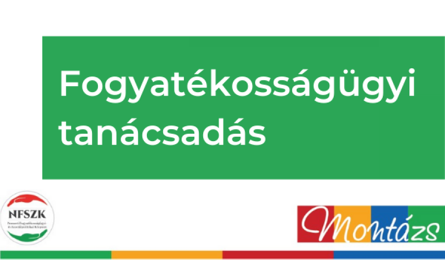 Fogyatékosságügyi Tanácsadás az NFSZK Montázs projektjében