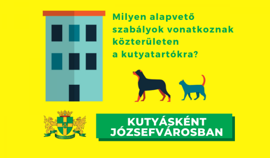 Milyen alapvető szabályok vonatkoznak közterületen a kutyatartókra?