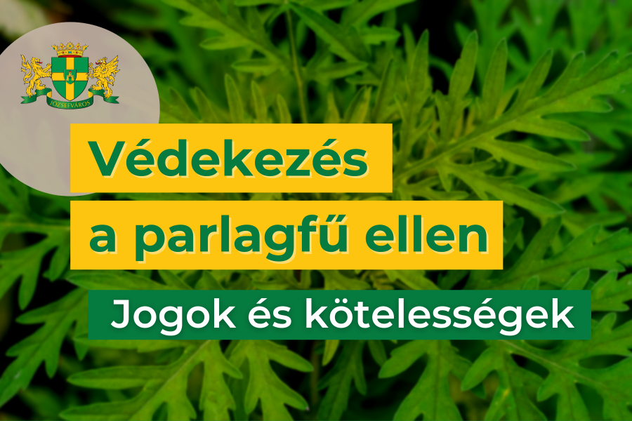 Védekezés a parlagfű ellen – jogok és kötelességek