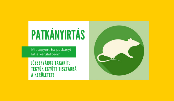 Mit tegyen, ha patkányt lát a kerületben?