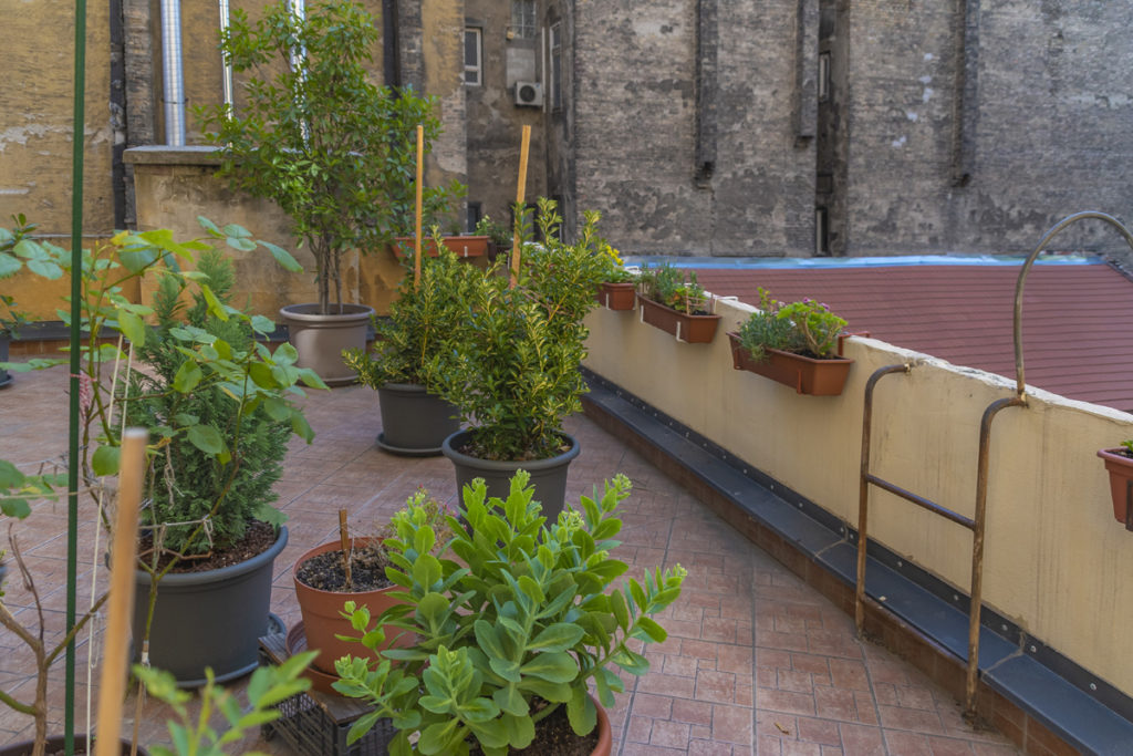 Telkes Mária pályázat díjátadó