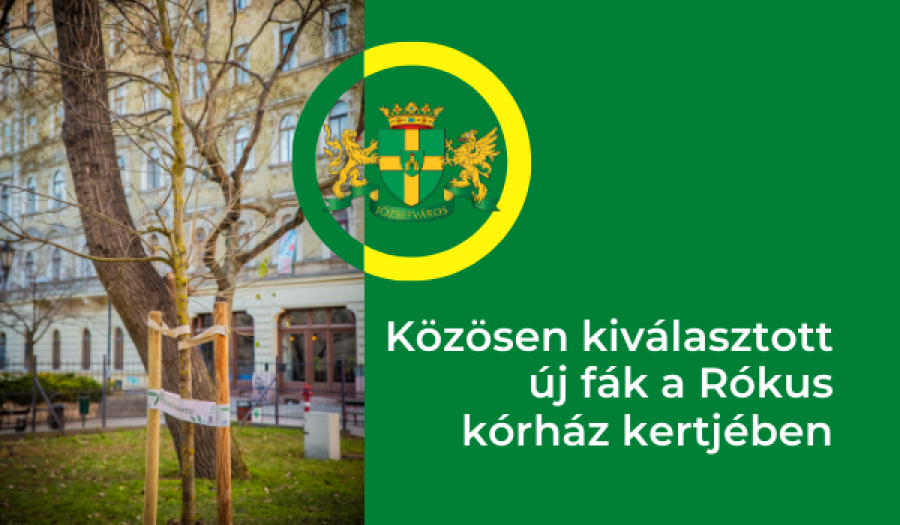 Közösen kiválasztott új fák a Rókus kórház kertjében