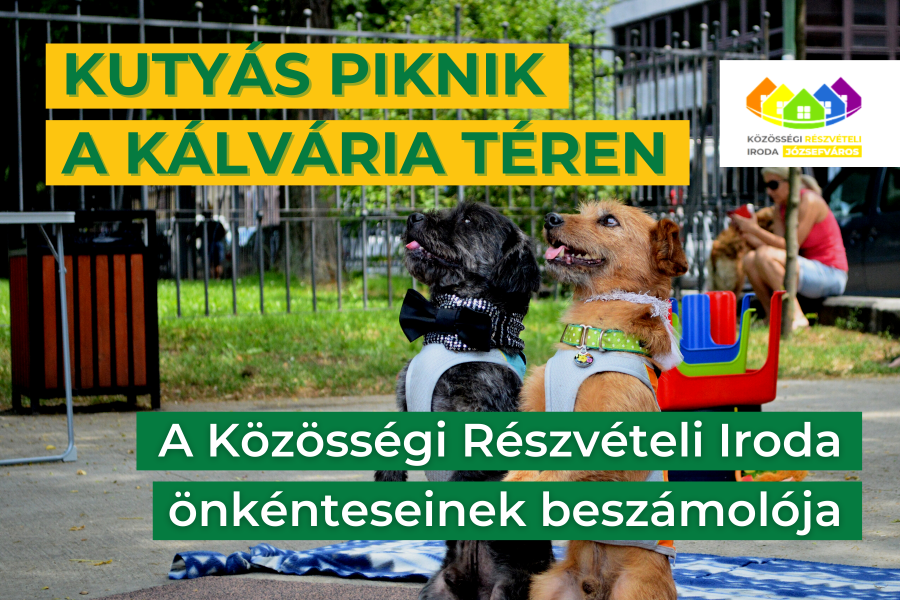 Kutyás piknik a Kálvária téren