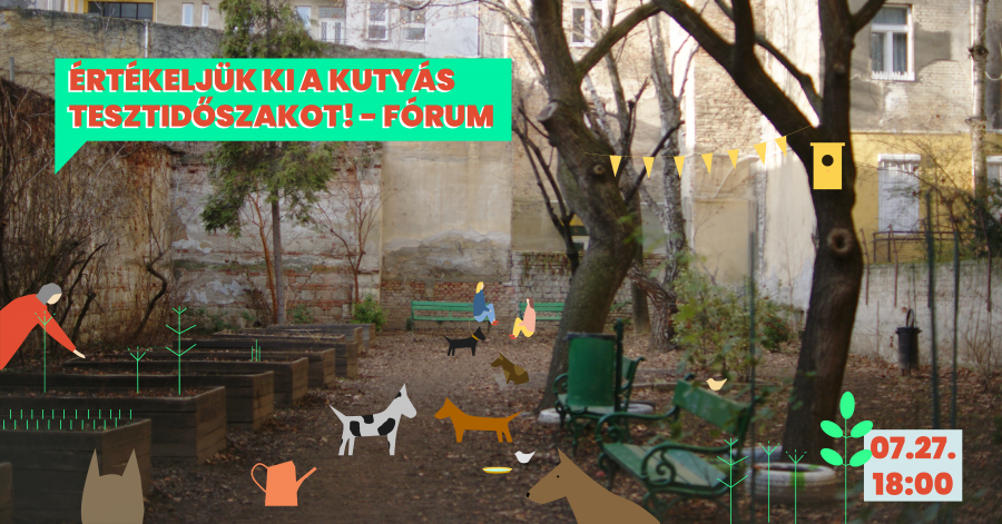 Értékeljük a kutyás tesztidőszakot a Tolnai kertben!