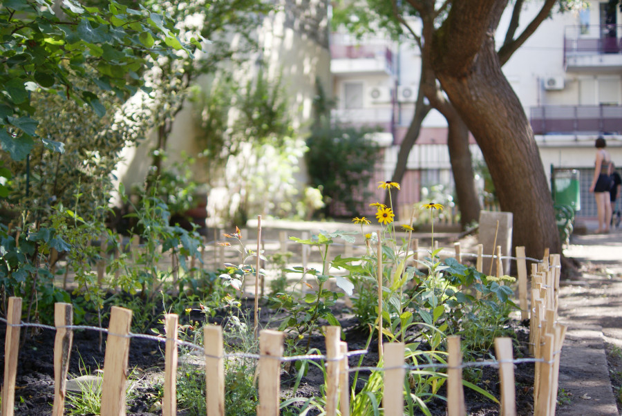 Elkészült a Tolnai kert hasznosításáról szóló javaslat. Véleményezze ön is!