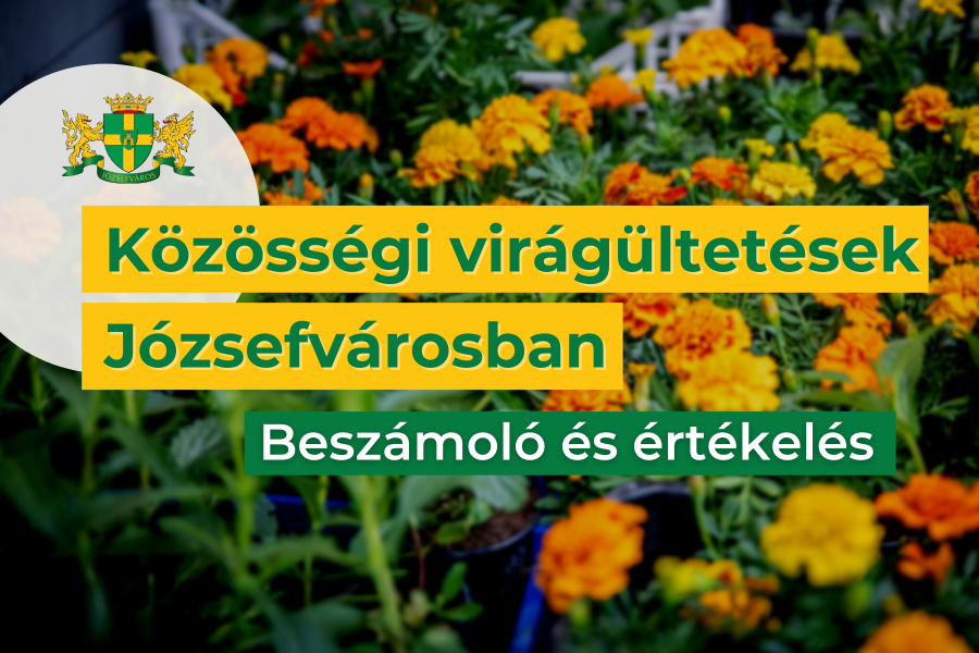 Közösségi virágültetések a kerületben – beszámoló és értékelés