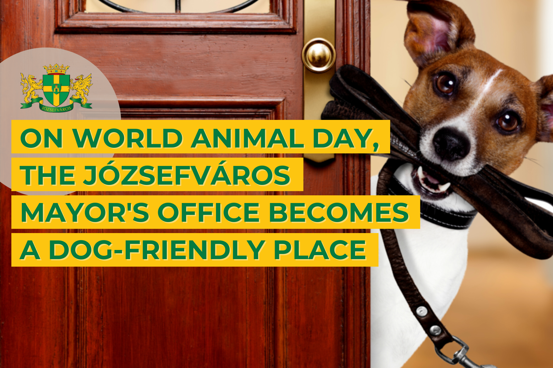On World Animal Day, the Józsefváros Mayor's Office becomes a dog-friendly place