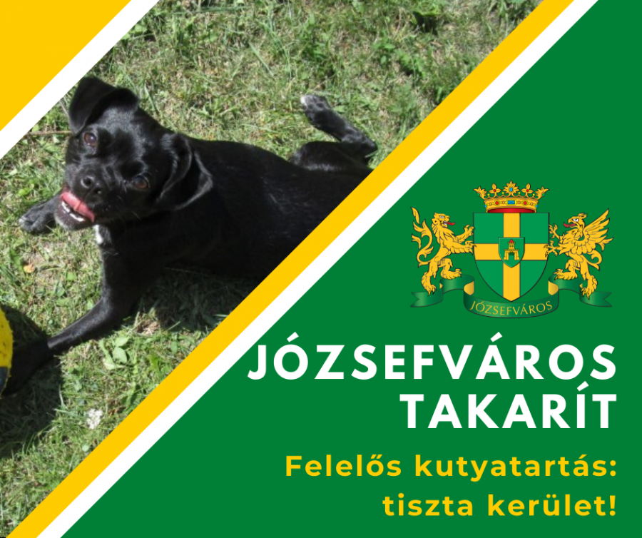   Felelős kutyatartás: tiszta Józseváros!