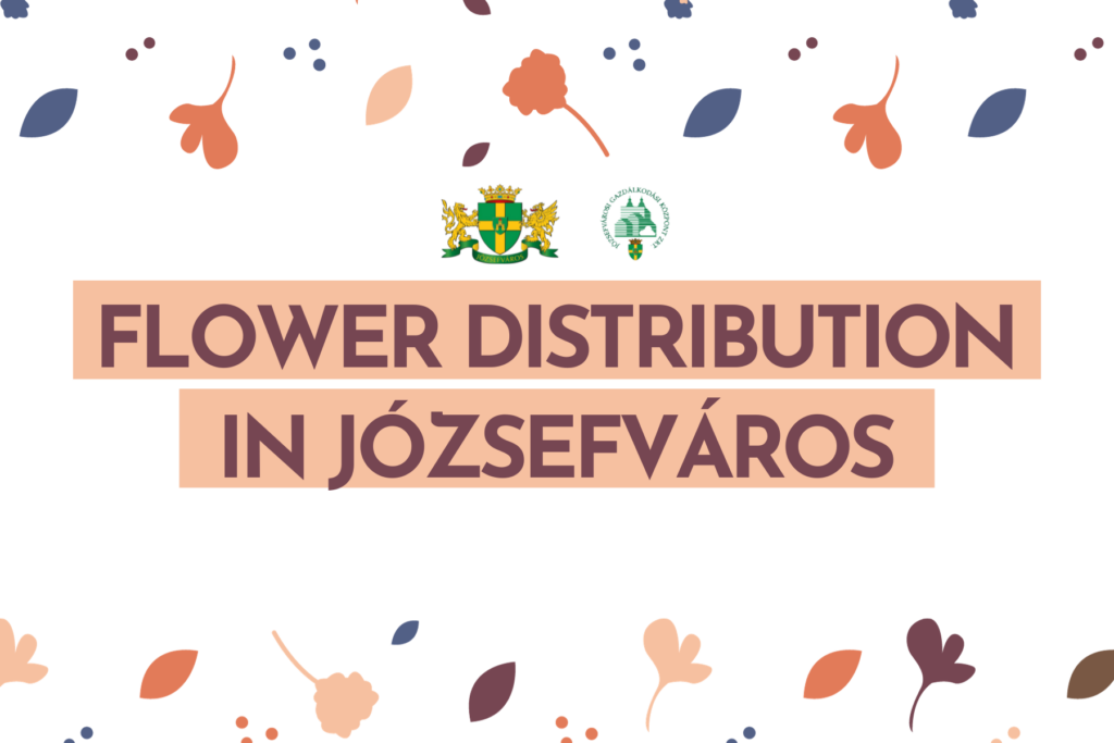 Flower distribution in Józsefváros