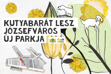 Kutyabarát lesz Józsefváros új parkja