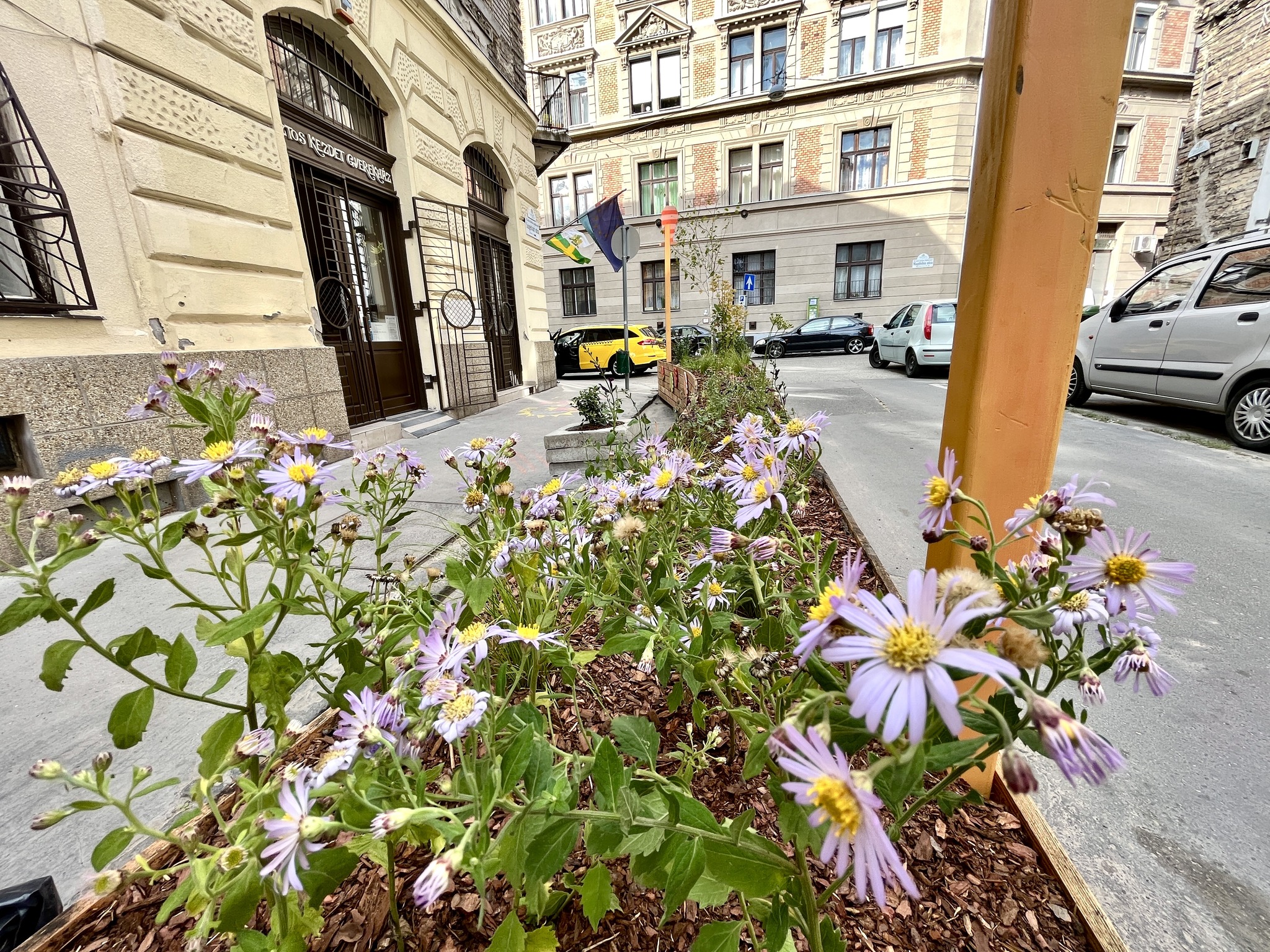 Mikroparkok Józsefvárosban