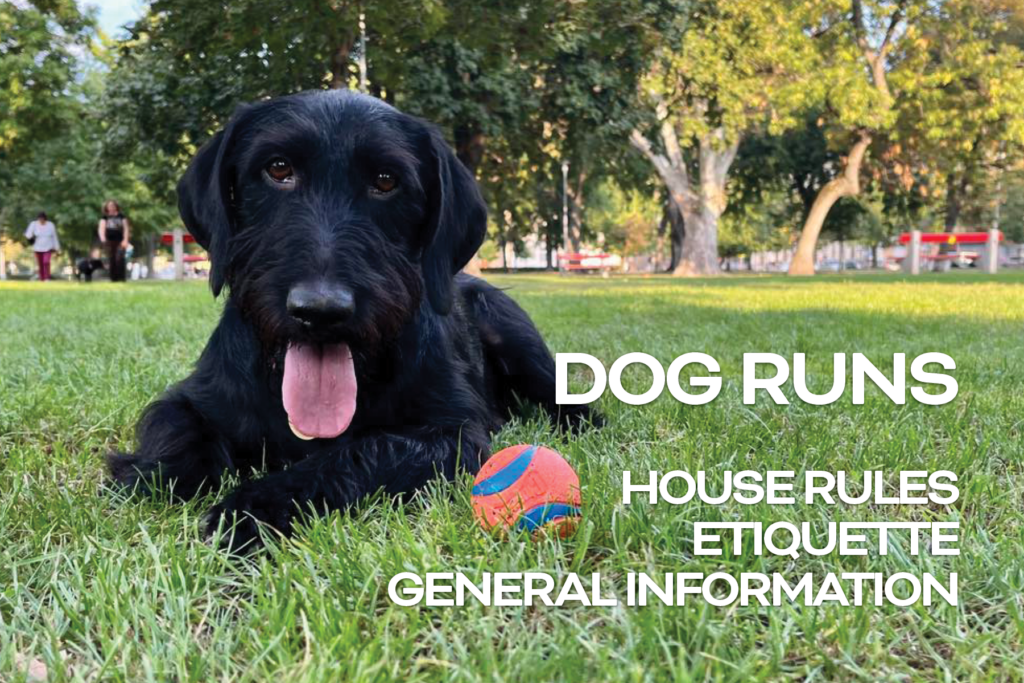 Dog runs in Józsefváros - House rules, etiquette, general information