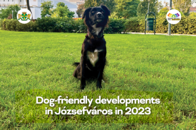 Dog-friendly developments in Józsefváros in 2023