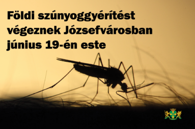Földi szúnyoggyérítést végeznek Józsefvárosban június 19-én este