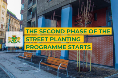 The second phase of street planting programme starts