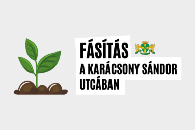 Fásítás Karácsony Sándor utcában