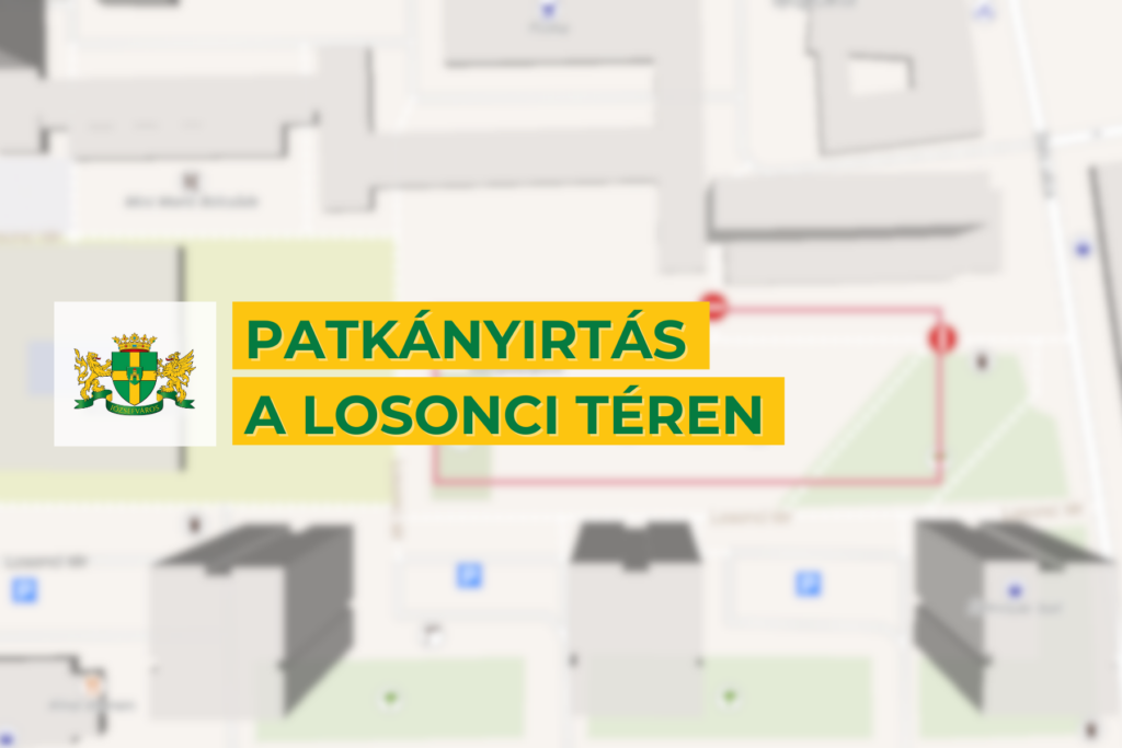 Patkányirtás a Losonci téren  