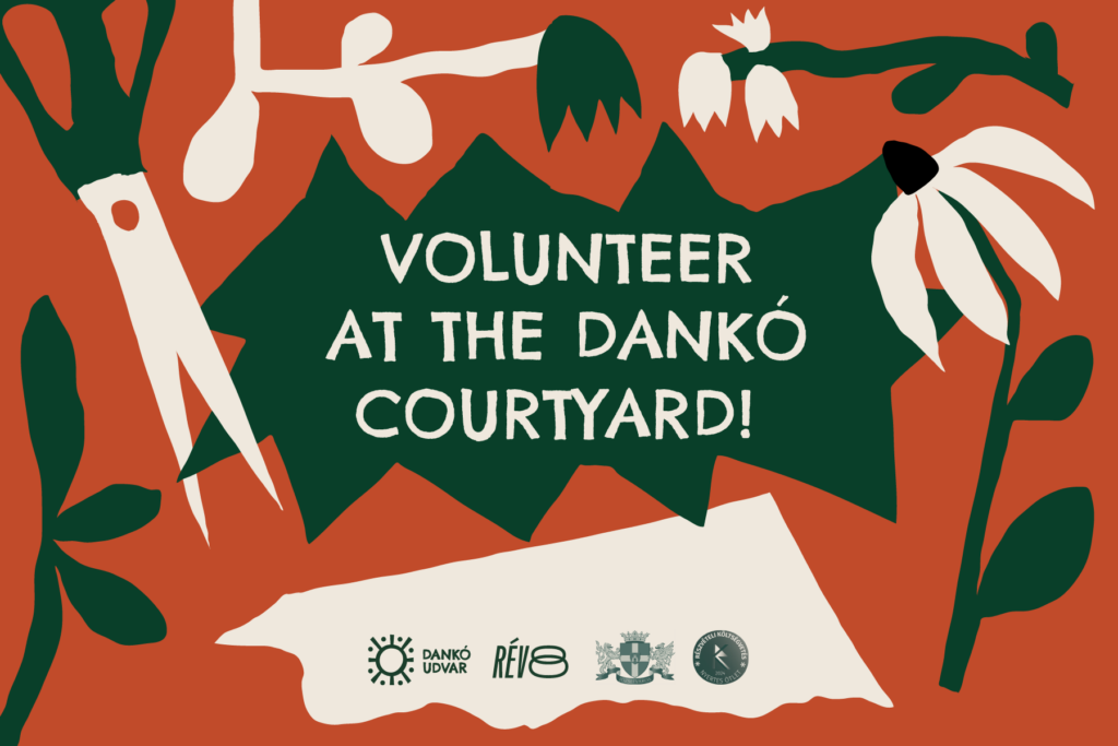 Volunteer at the Dankó courtyard!