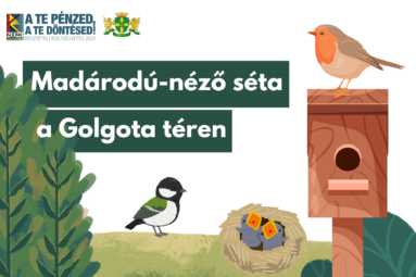 Madárodú-néző séta a Golgota téren