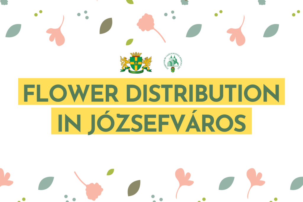 Flower distribution in Józsefváros