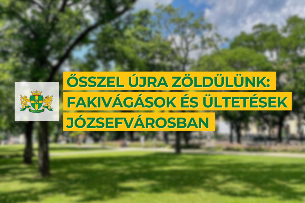 Ősszel újra zöldülünk: fakivágások és ültetés Józsefvárosban  