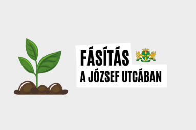 Fásítás a József utcában