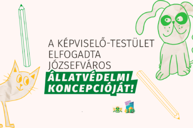 A képviselő-testület elfogadta Józsefváros állatvédelmi koncepcióját