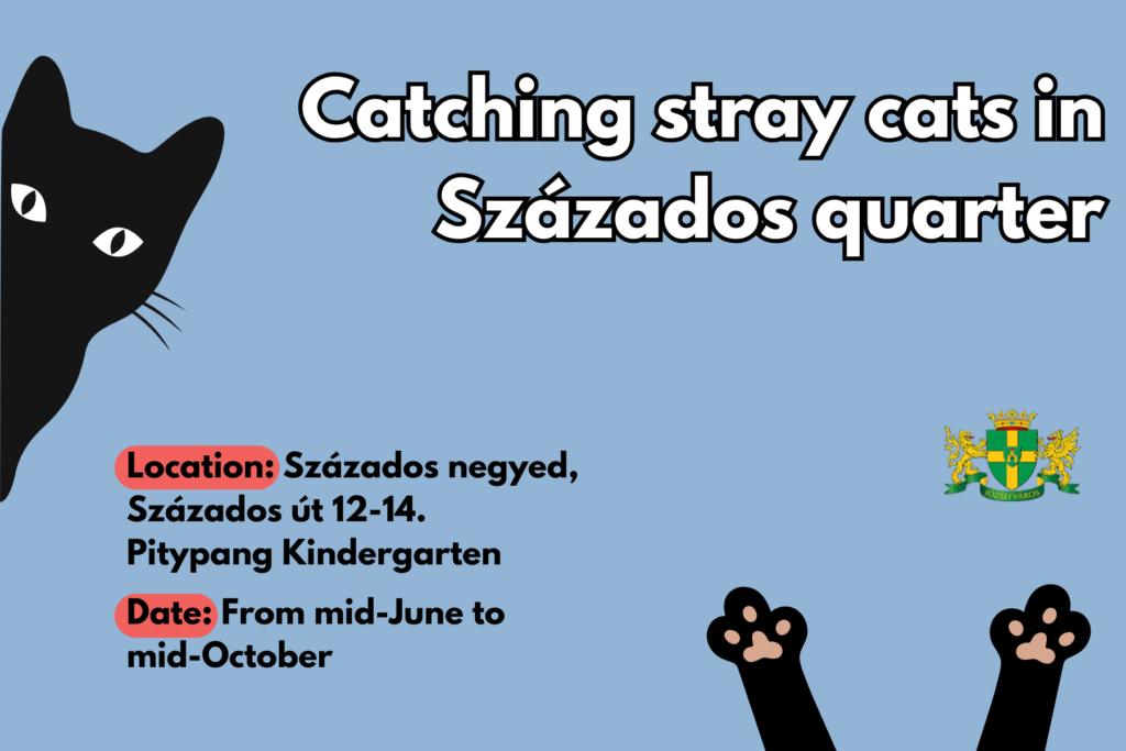 Catchinng stray cats in Százados quarter. Location: Százados negyed Százados út 12-14. Pitypang kinder garten. Date: from mid june to mid october