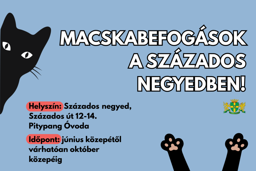 Macskabefogások a Százados negyedben  