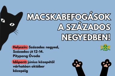 Macskabefogások a Százados negyedben