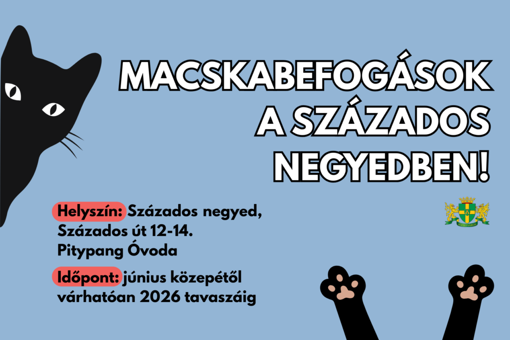 Kóbor macska befogás a Százados negyedben