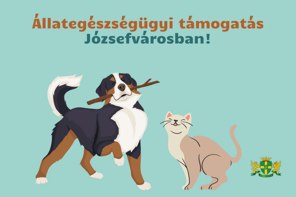 Állategészségügyi támogatás Józsefvárosban  