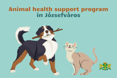 Animal health support program in Józsefváros