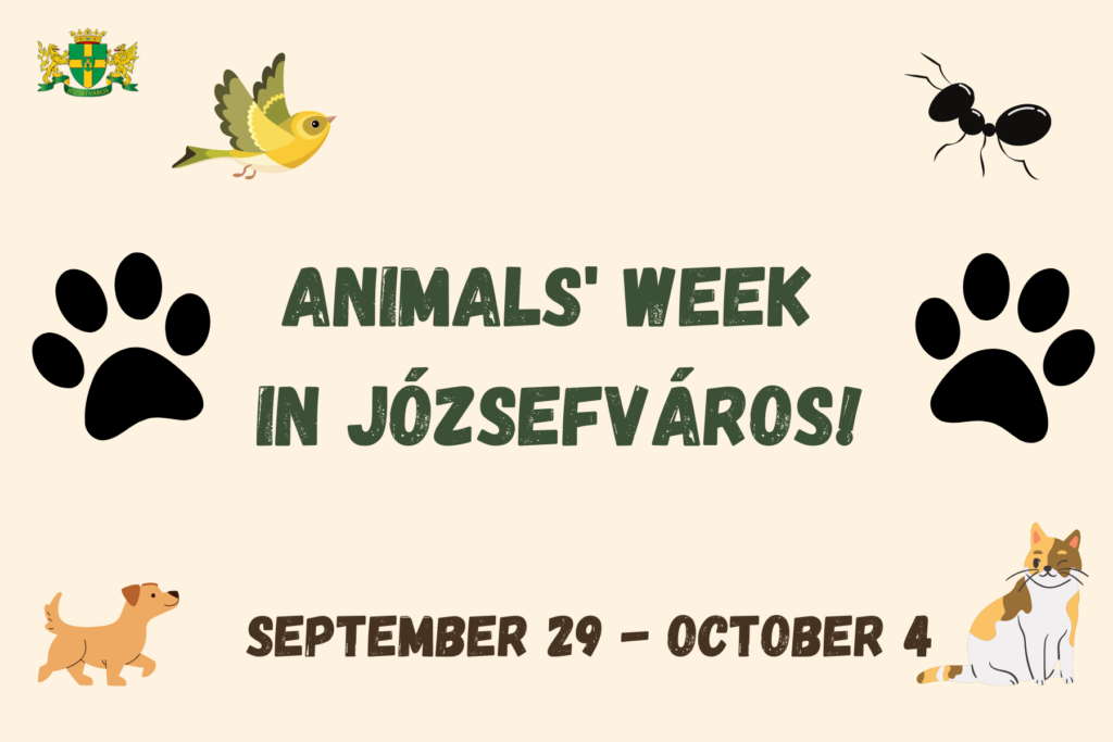 Animals's week in Józsefváros september 29-october 4.