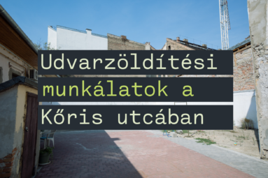 Udvarzöldítési munkálatok a Kőris utcában