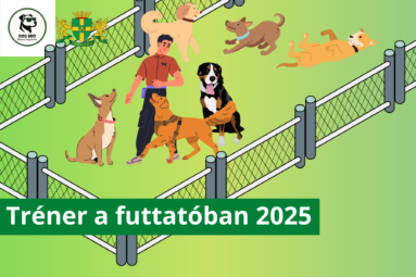 Tréner a futtatóban 2025