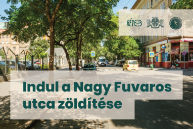 Indul a Nagy Fuvaros utca zöldítése