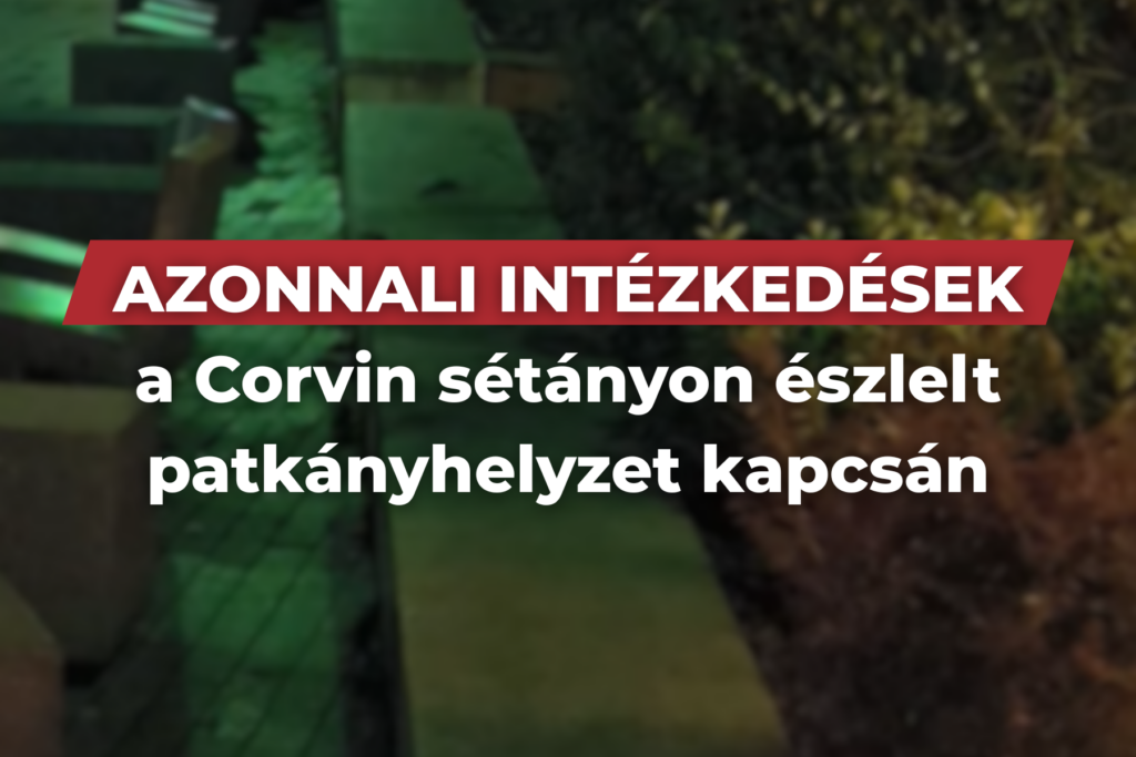 Azonnali intézkedések a Corvin sétányon észlelt patkányhelyzet kapcsán  