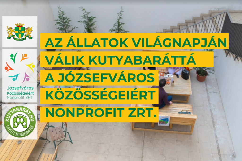 Kutyabaráttá válik a Józsefváros Közösségeiért Nonprofit Zrt