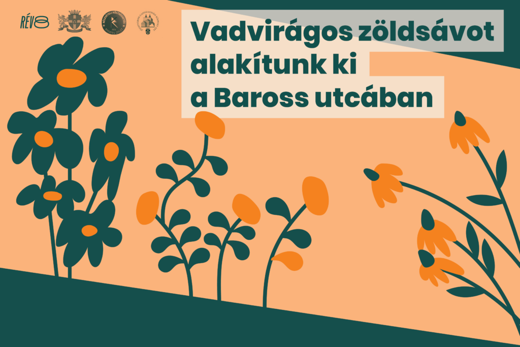 Vadvirágos zöldsávot alakítunk ki a Baross utcában  