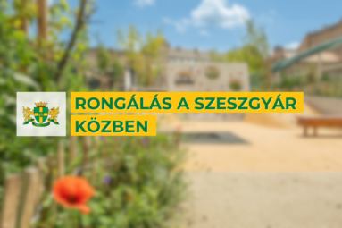 Rongálás a Szeszgyár közben