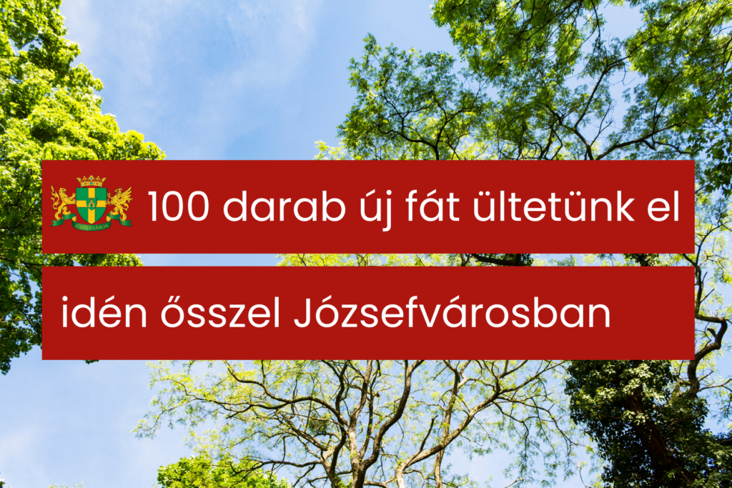 100 új fát ültetünk el Józsefvárosban!