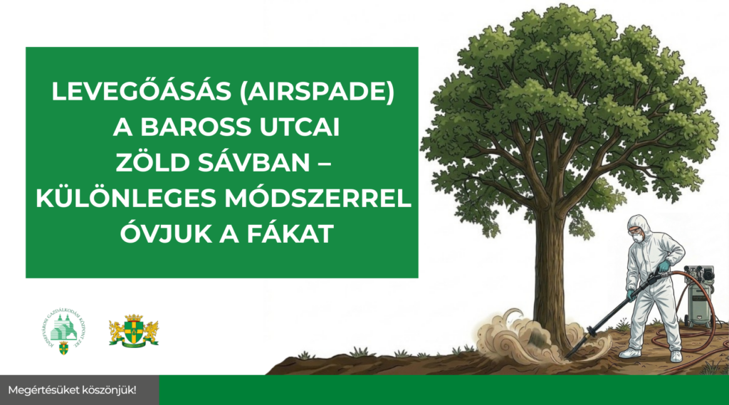 Levegőásás (AirSpade) a Baross utcai zöld sávban – különleges módszerrel óvjuk a fákat  