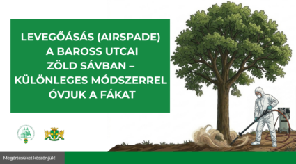Levegőásás (AirSpade) a Baross utcai zöld sávban – különleges módszerrel óvjuk a fákat