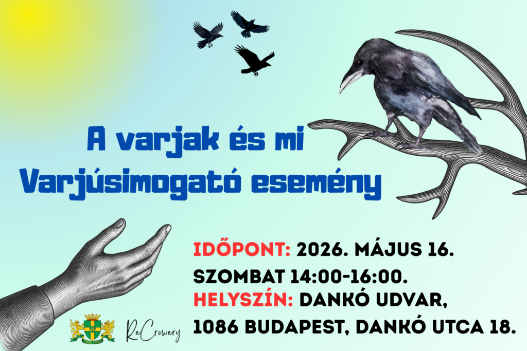 A varjak és mi – Varjúsimogató esemény