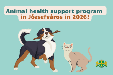 Animal health support program in Józsefváros in 2026!