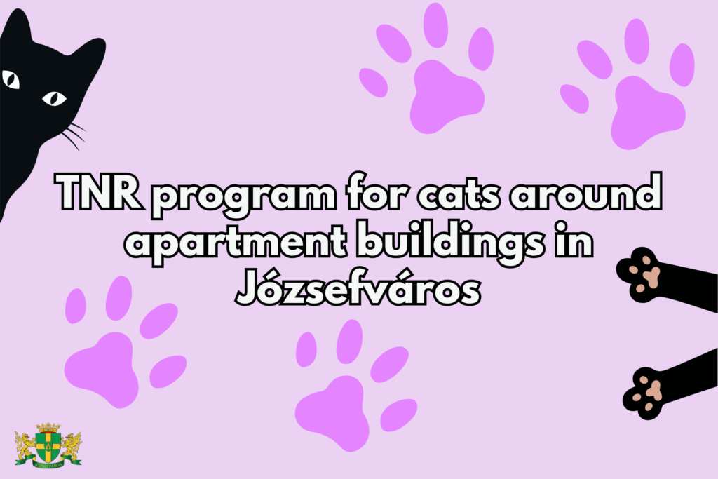 TNR program for cats around apartment bulidings in Józsefváros  
